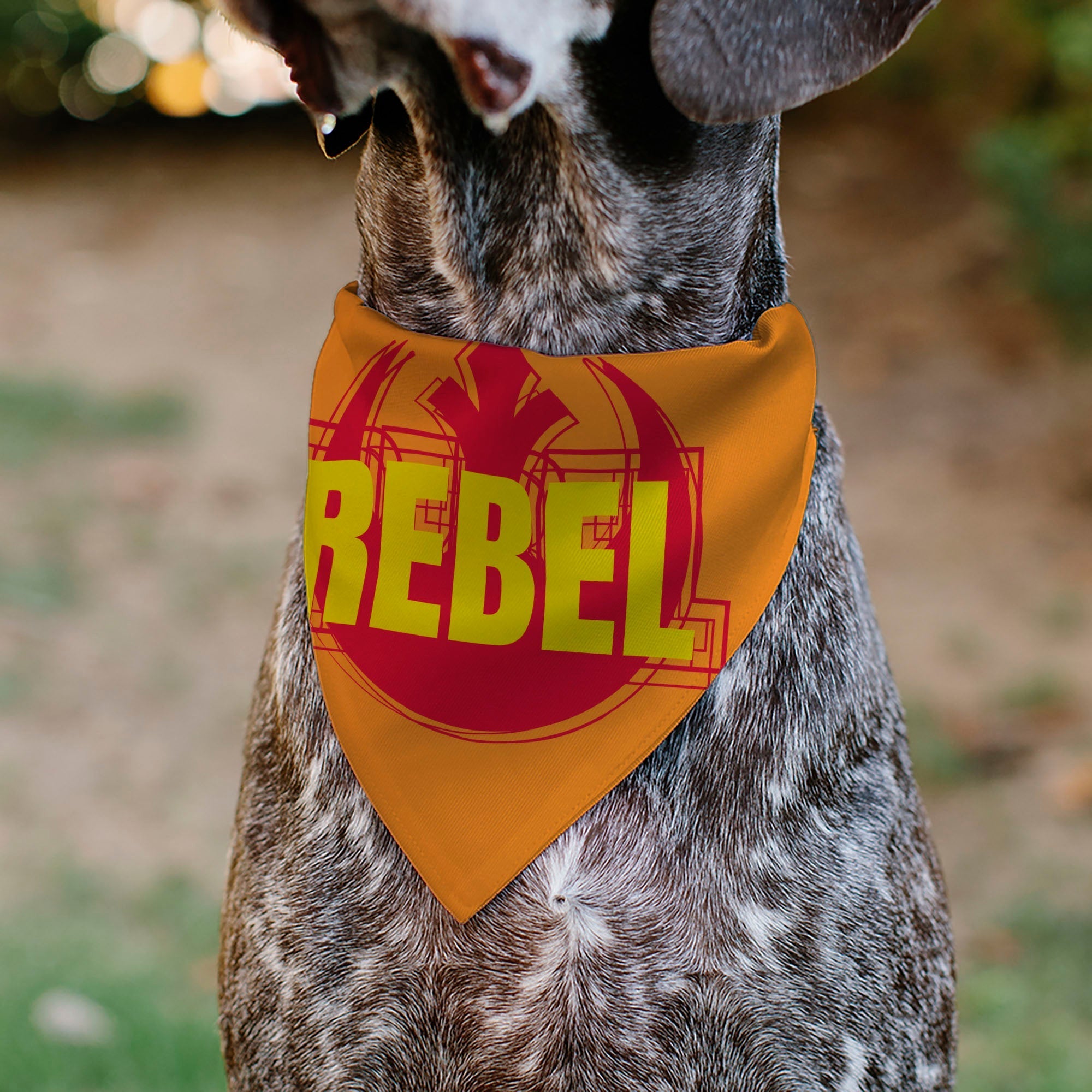 Pet Bandana - Star Wars REBEL Text and Rebel Alliance Insignia Orange/Red/Yellow 