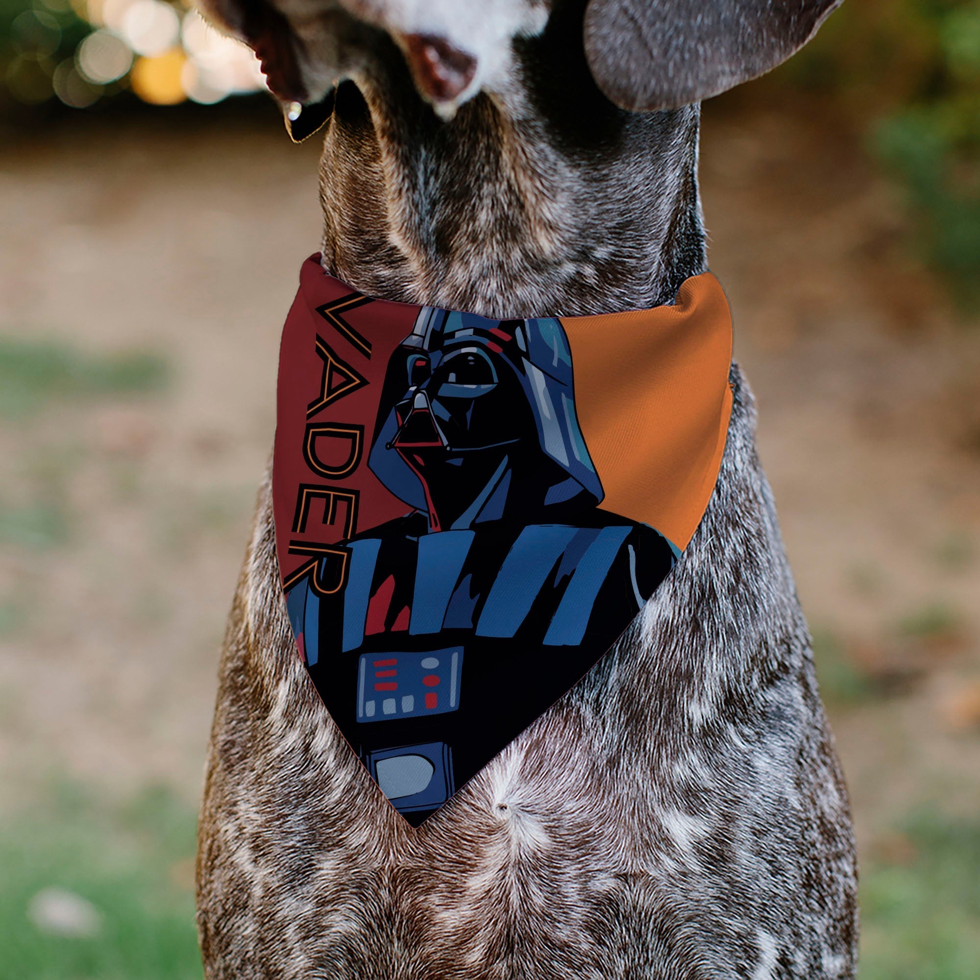Pet Bandana - Star Wars VADER Text and Pop Art Pose Red/Orange/Black 