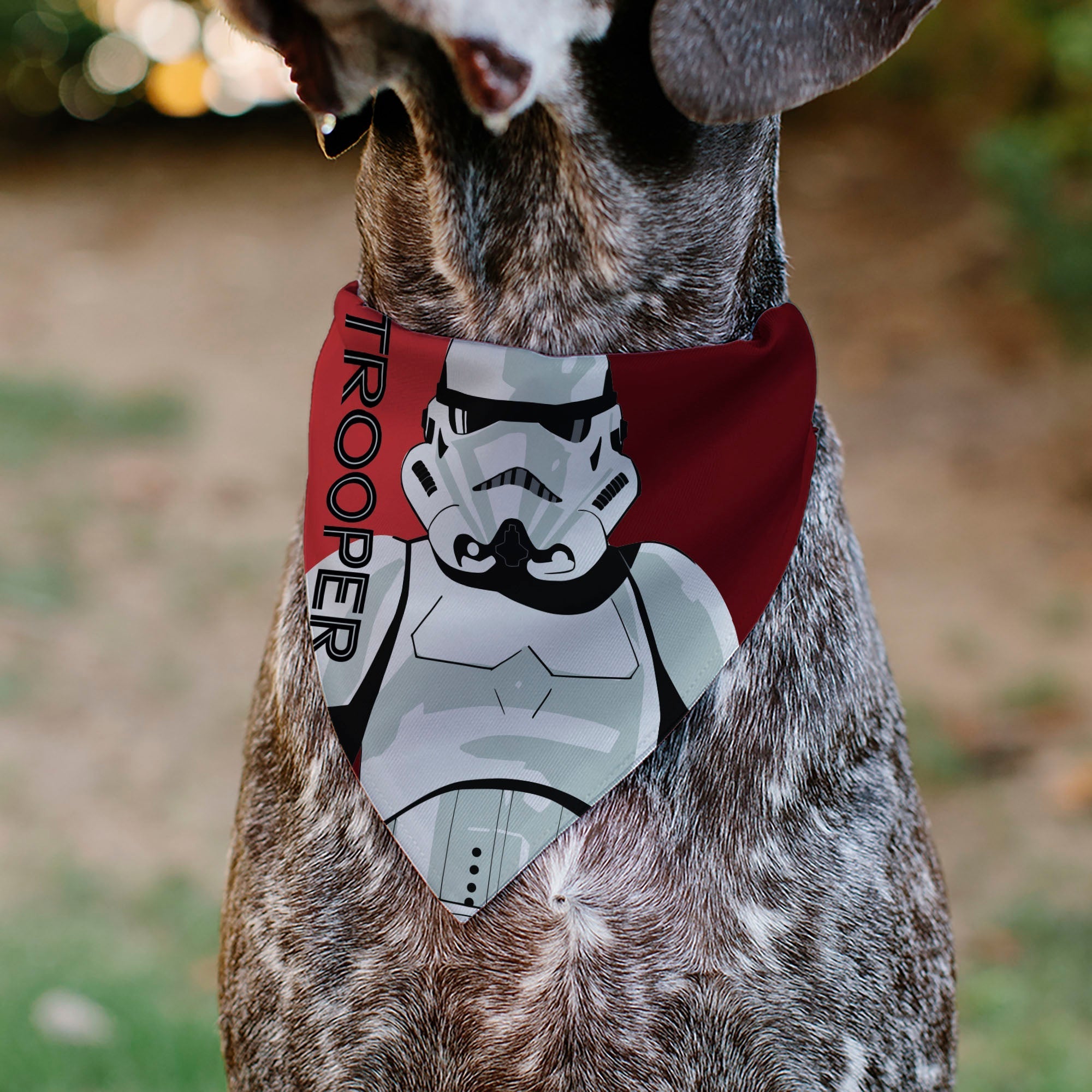 Pet Bandana - Star Wars TROOPER Text and Stormtrooper Pop Art Pose Reds/Black 