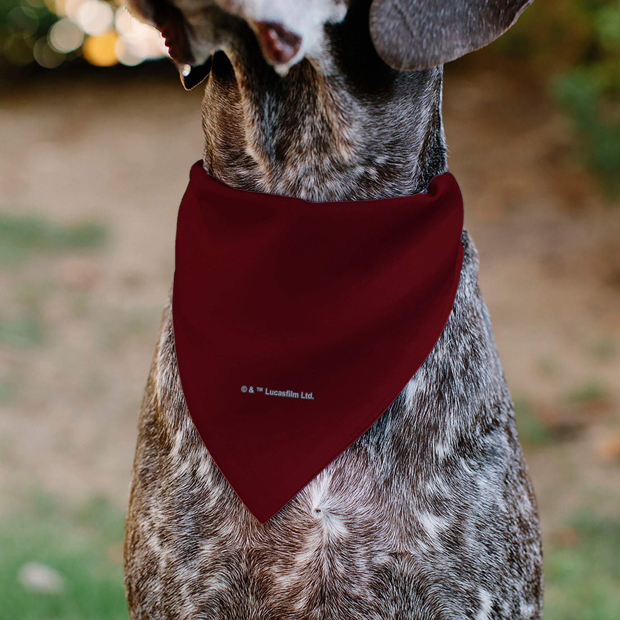 Pet Bandana - Star Wars TROOPER Text and Stormtrooper Pop Art Pose Reds/Black 