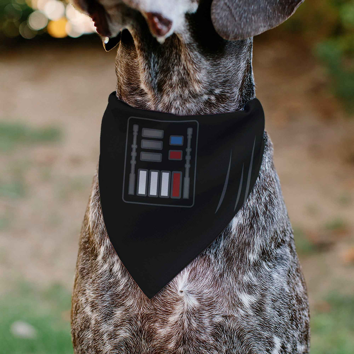Pet Bandana - Star Wars Darth Vader Character Close-Up Black