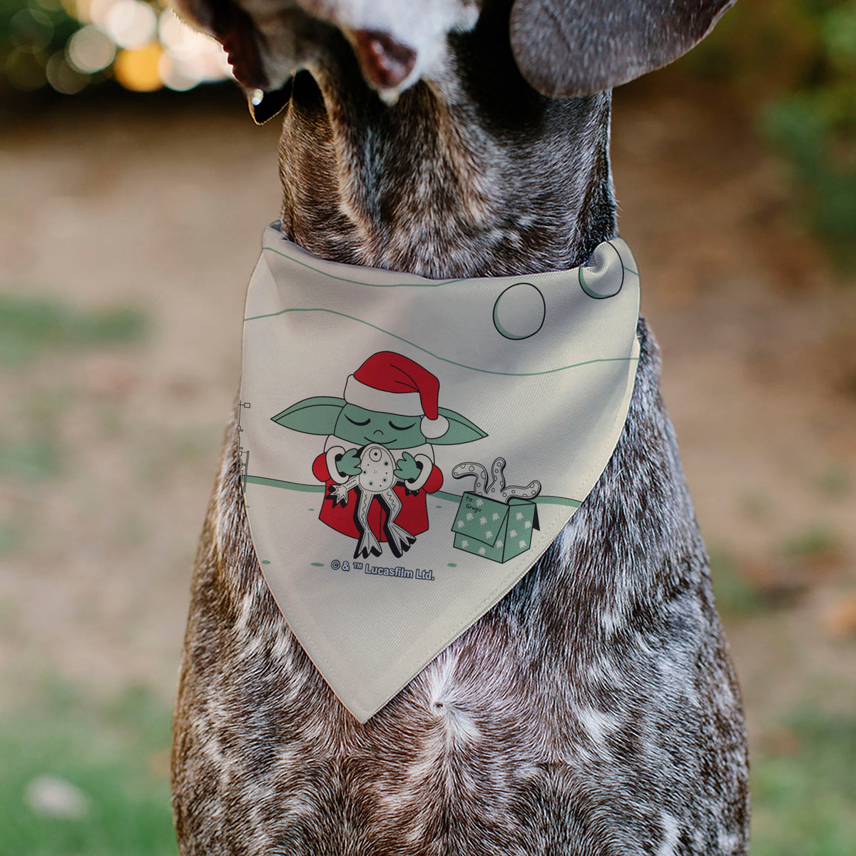 Pet Bandana - Star Wars Holiday Grogu Baby Yoga Santa Claus Scenes | HT Animal Supply