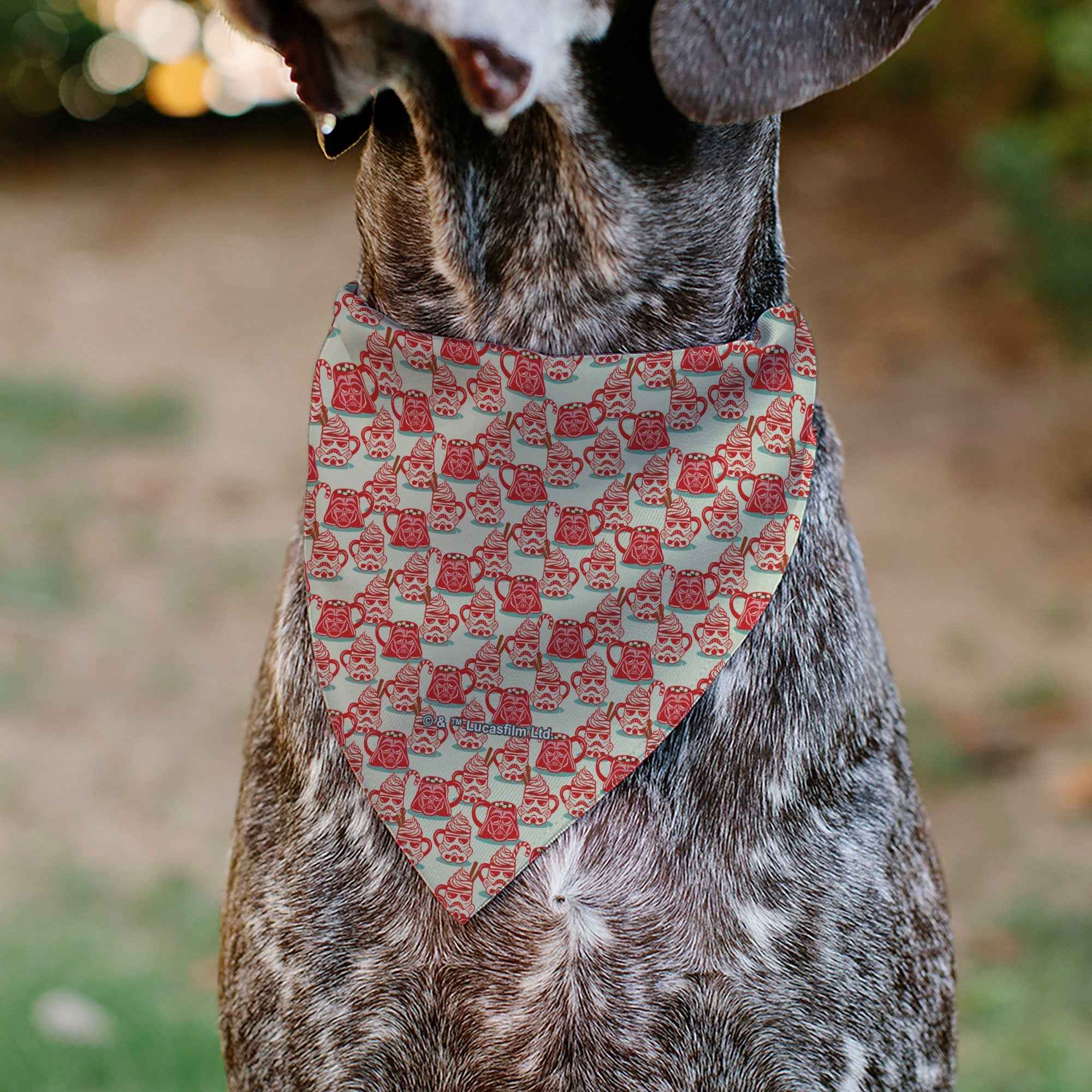 Buckle-Down Star Wars Holiday Hot Cocoa Quote Vader and Stormtrooper Mugs Over-the-Collar Dog Bandana