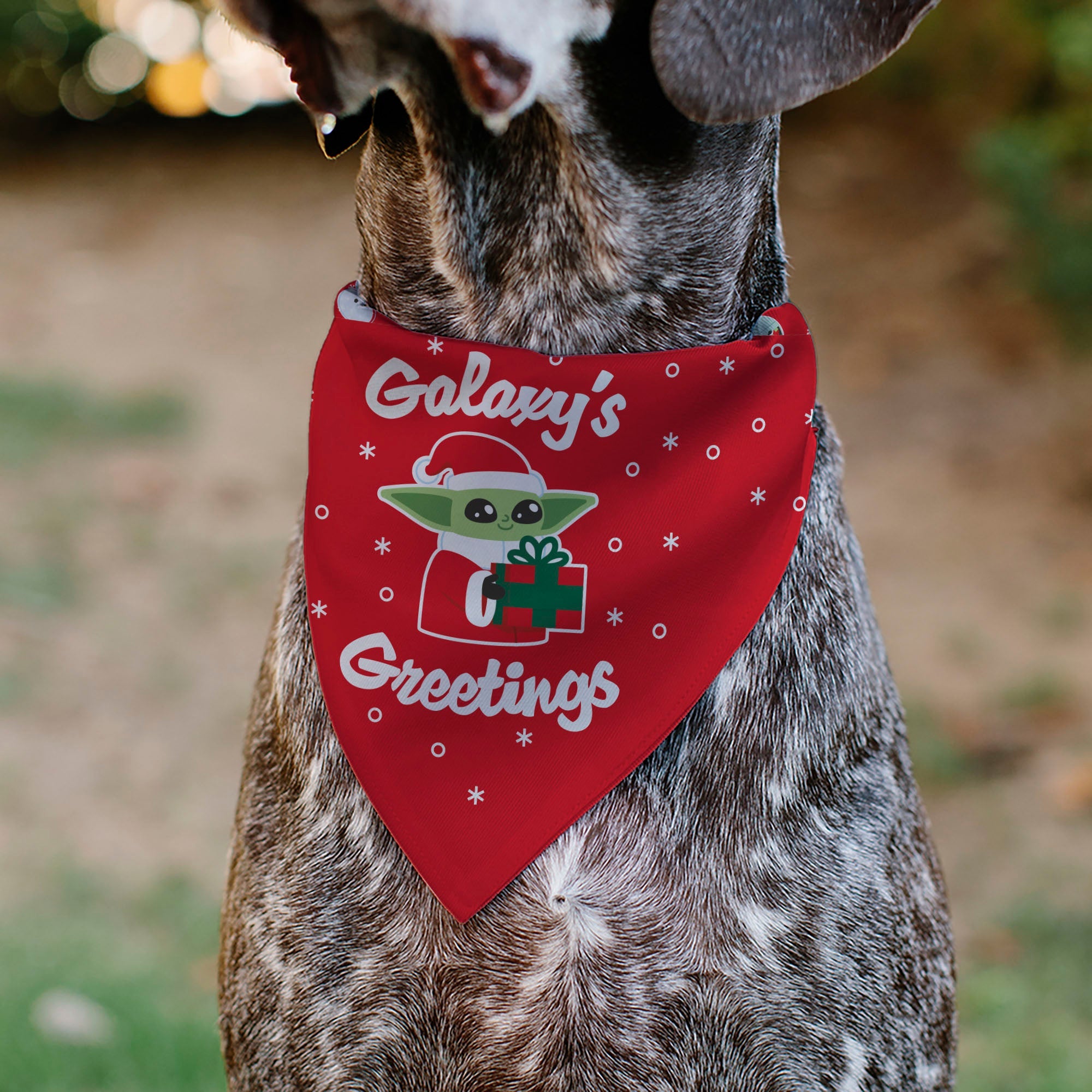 Buckle-Down Star Wars Holiday Grogu Baby Yoga Galaxy Greetings Pose and Icons Red Over-the-Collar Dog Bandana