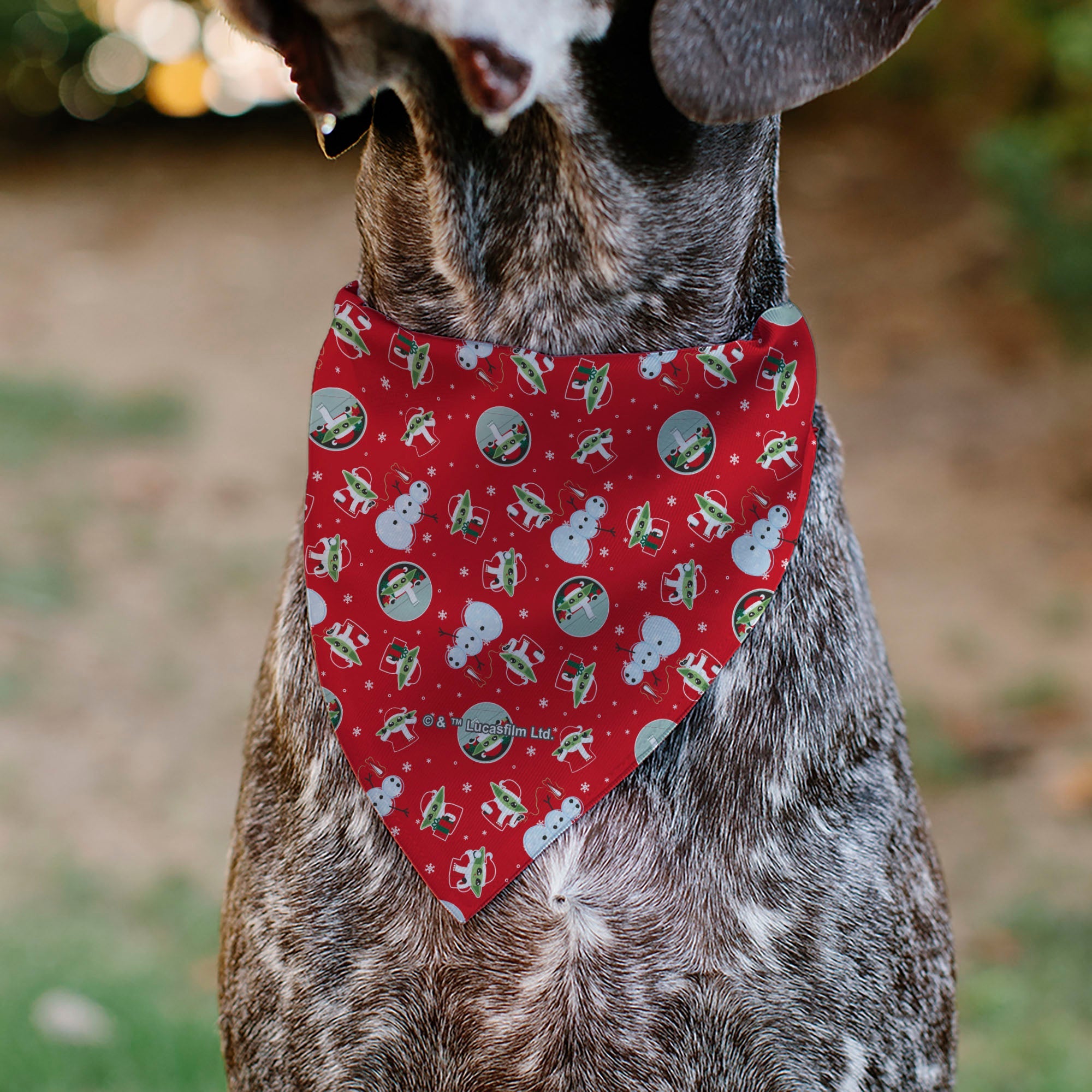 Buckle-Down Star Wars Holiday Grogu Baby Yoga Galaxy Greetings Pose and Icons Red Over-the-Collar Dog Bandana