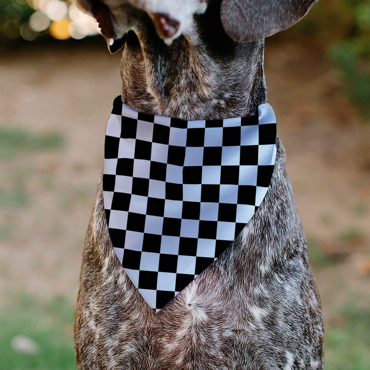 Pet Bandana - Checker Black/White