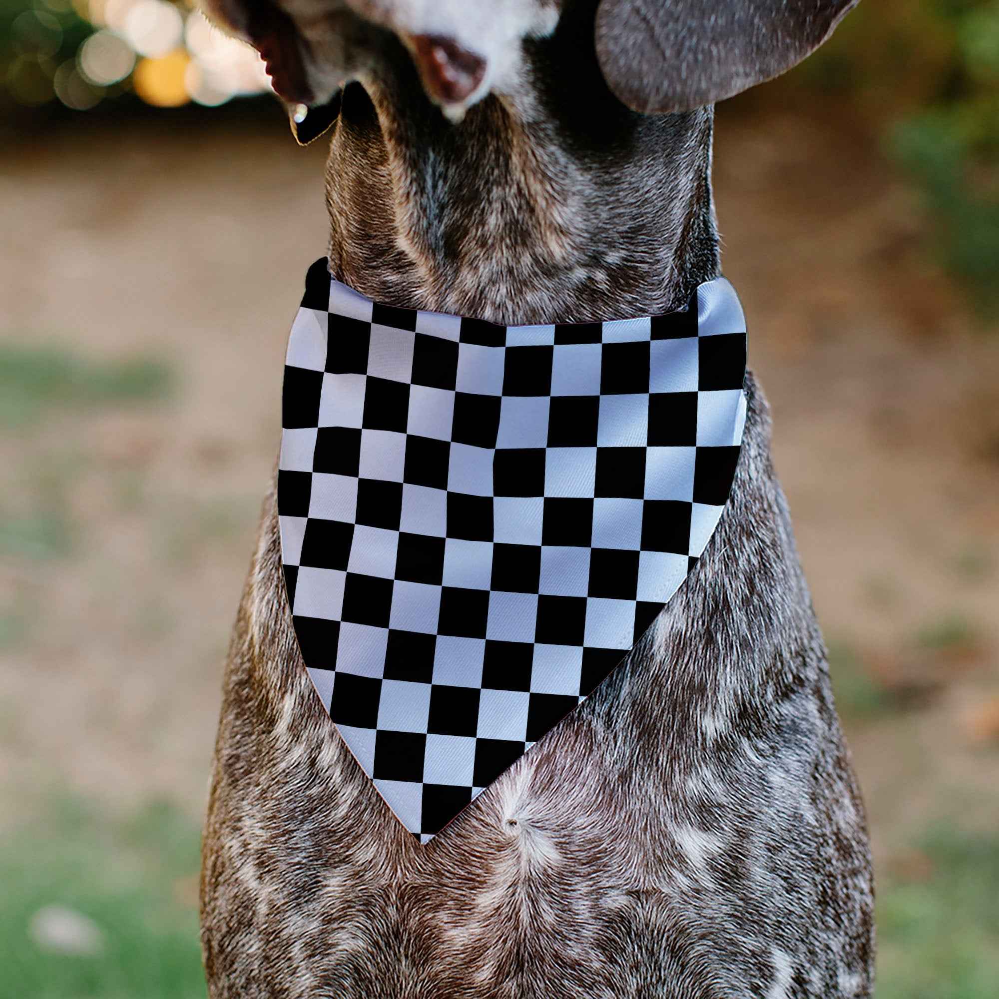 Pet Bandana - Checker Black/White
