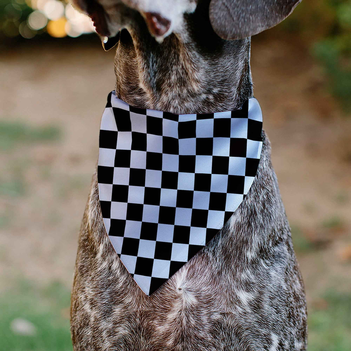 Pet Bandana - Checker Black/White