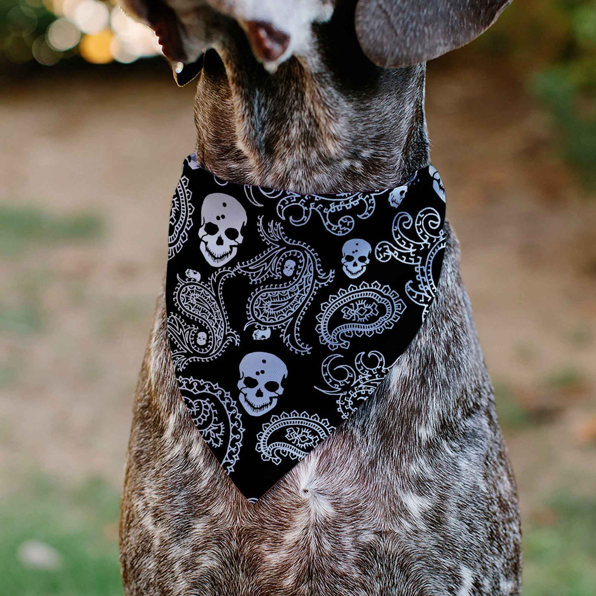 Pet Bandana - Bandana/Skulls Black/White