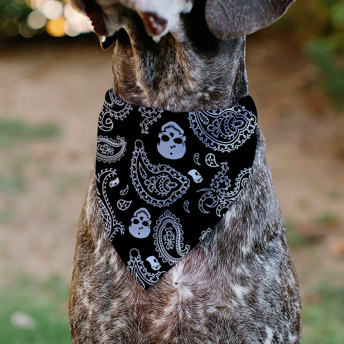 Pet Bandana - Bandana/Skulls Black/White
