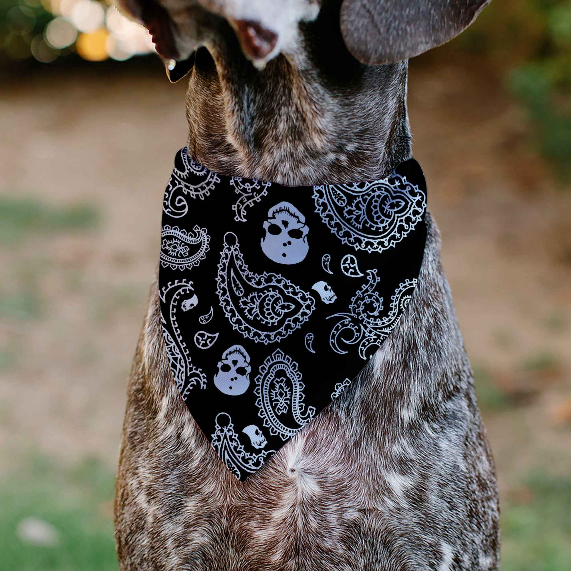 Pet Bandana - Bandana/Skulls Black/White