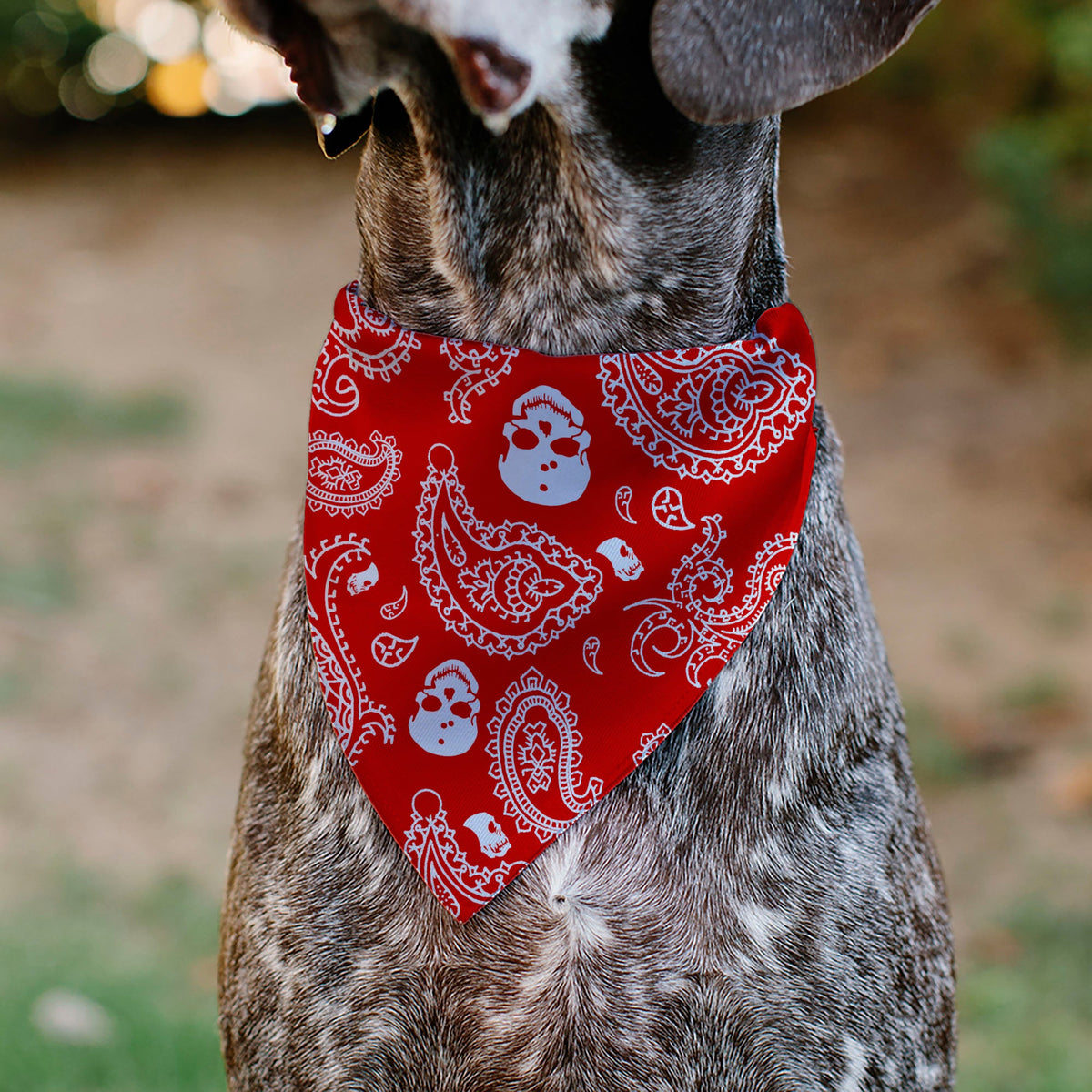 Pet Bandana - Bandana/Skulls Red/White | HT Animal Supply