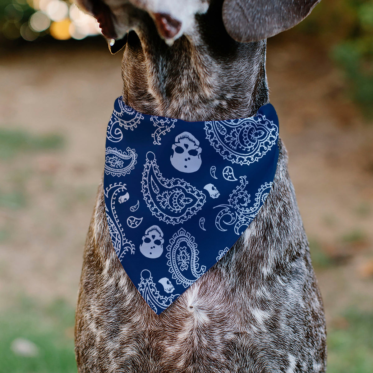 Pet Bandana - Bandana/Skulls Royal/White | HT Animal Supply