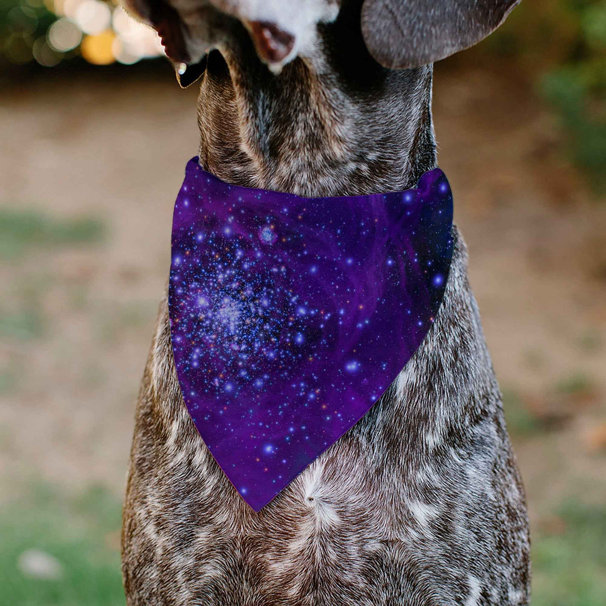 Pet Bandana - Galaxy Blues/Purples