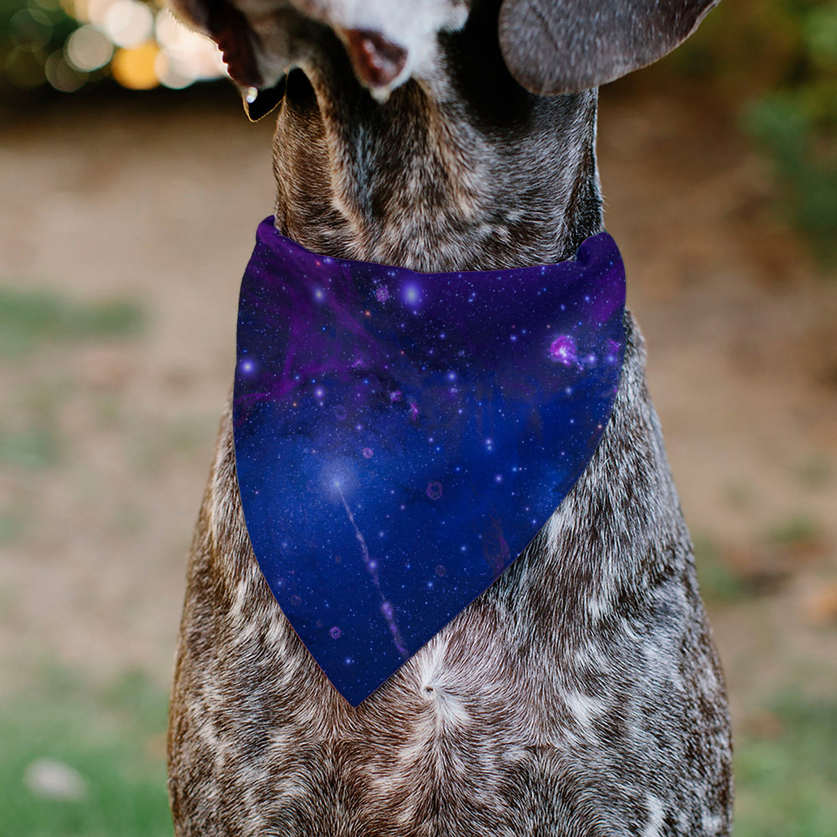 Pet Bandana - Galaxy Blues/Purples | HT Animal Supply