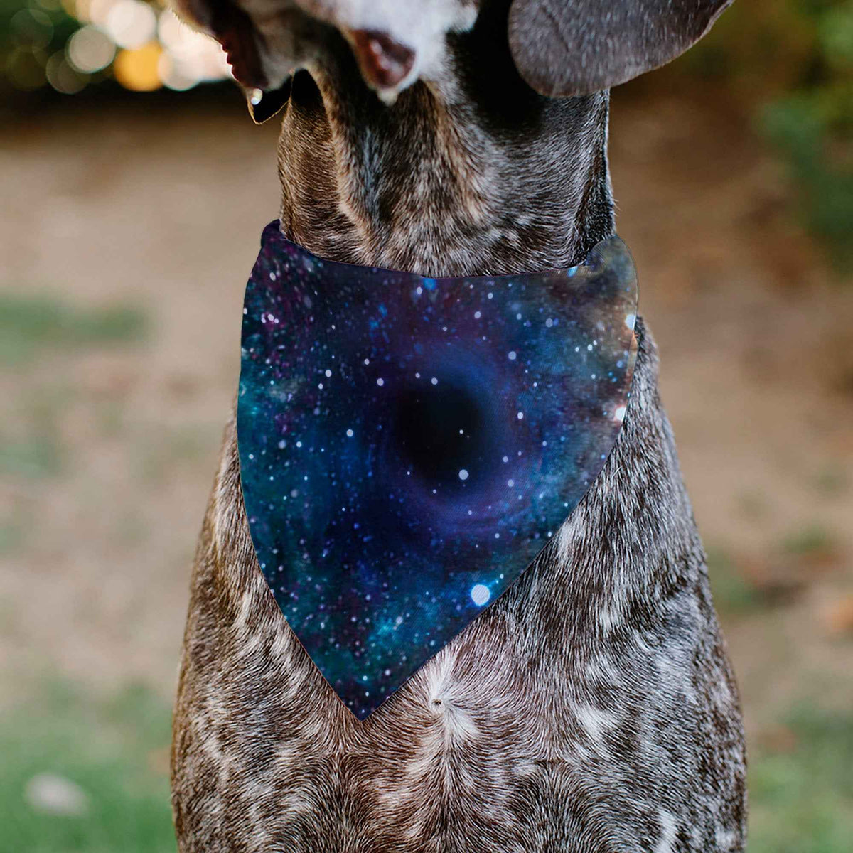Pet Bandana - Galaxy Collage