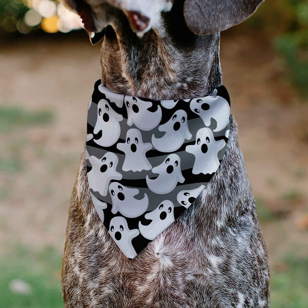Pet Bandana - Ghosts Scattered Black/White
