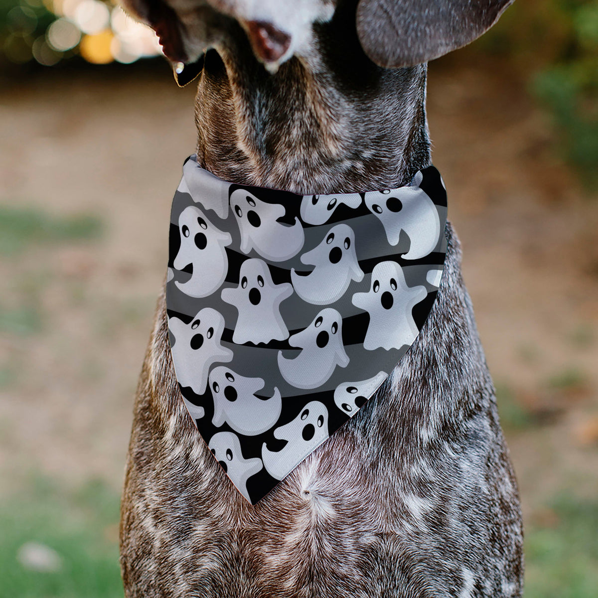Pet Bandana - Ghosts Scattered Black/White | HT Animal Supply