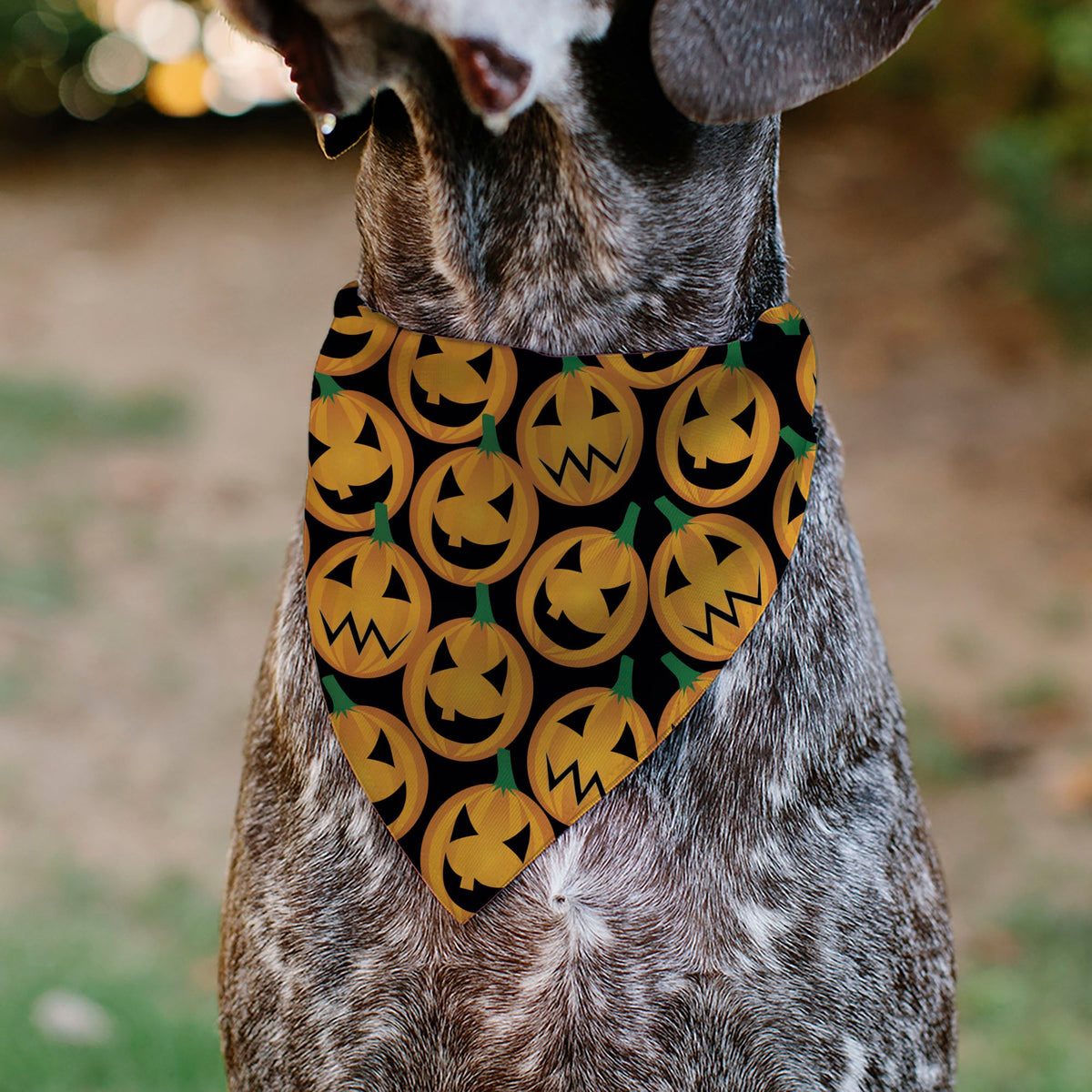 Pet Bandana - Jack-o-Lantern Collage Black | HT Animal Supply