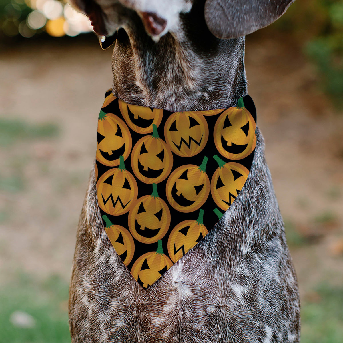 Pet Bandana - Jack-o-Lantern Collage Black | HT Animal Supply