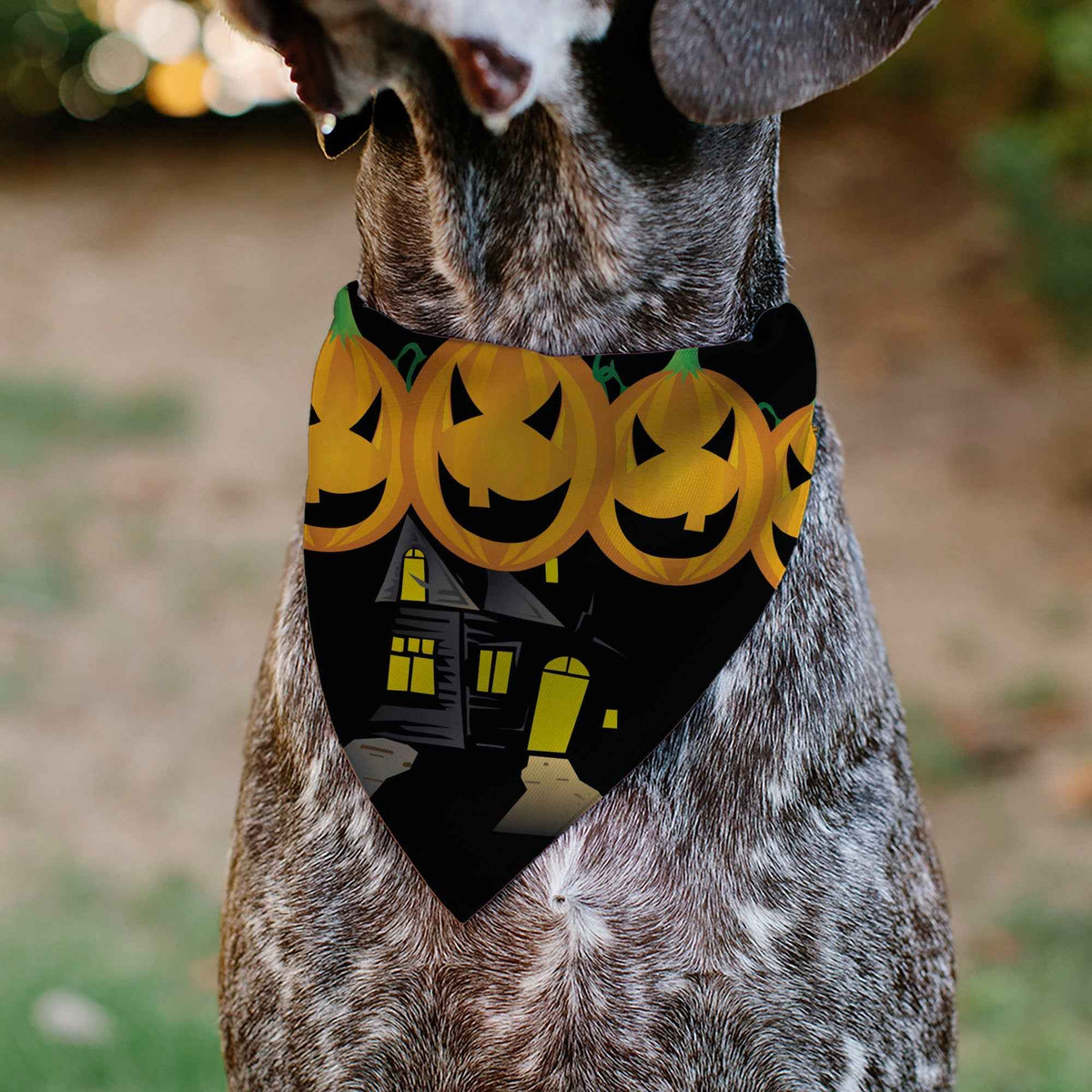 Pet Bandana - Jack-o-Lanterns/Haunted House Black/Yellow