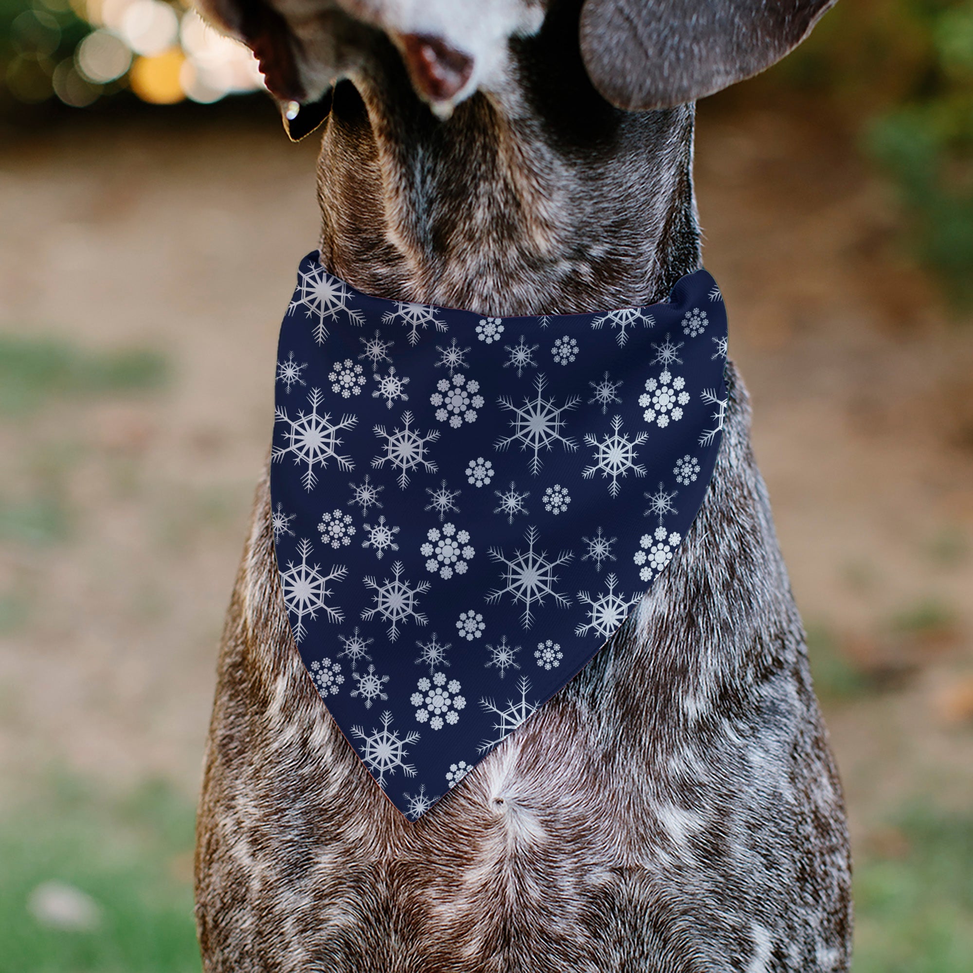 Buckle-Down Snowflakes Blue/White Over-the-Collar Dog Bandana