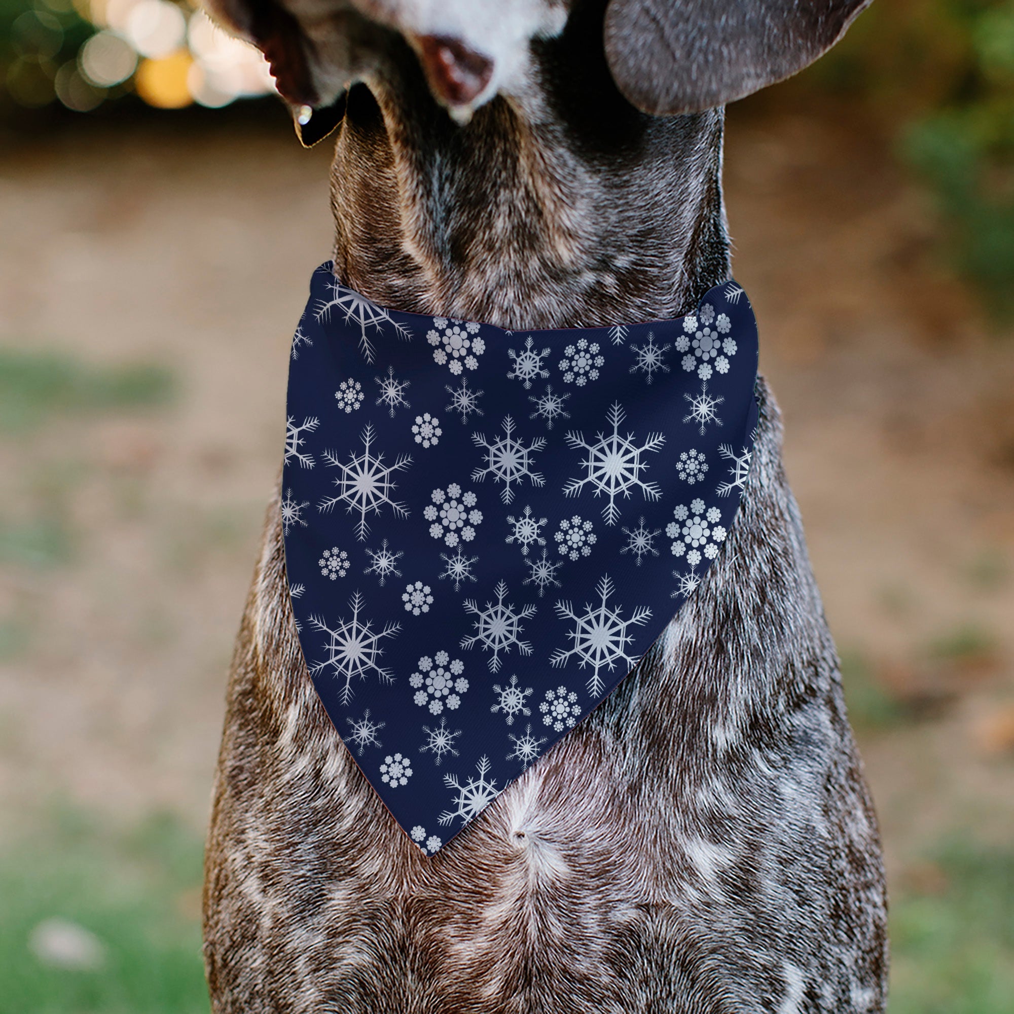Buckle-Down Snowflakes Blue/White Over-the-Collar Dog Bandana