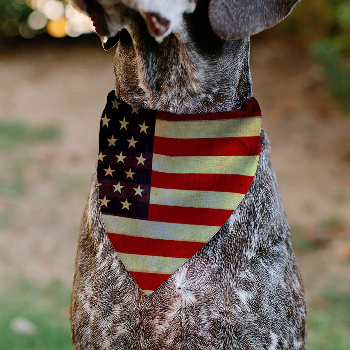 Pet Bandana - Vintage US Flag Repeat