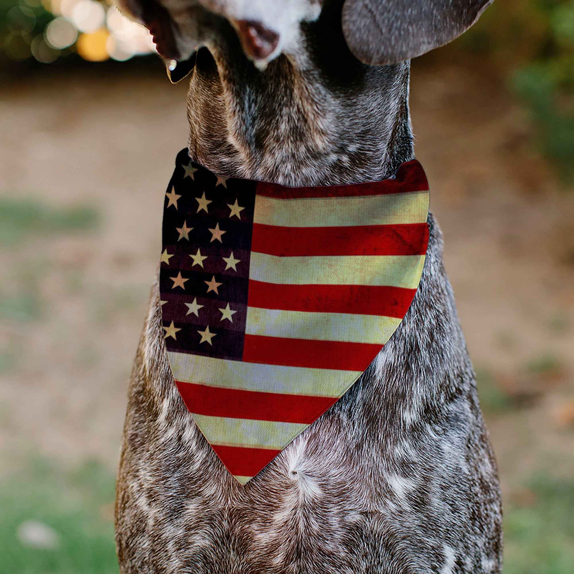 Pet Bandana - Vintage US Flag Repeat
