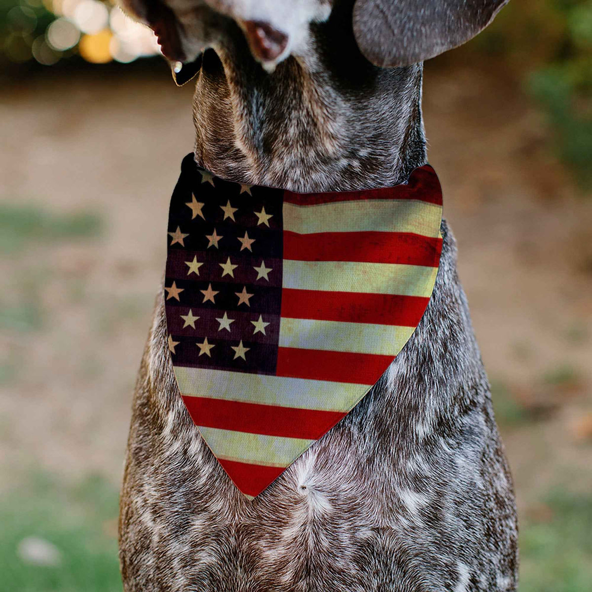 Pet Bandana - Vintage US Flag Repeat
