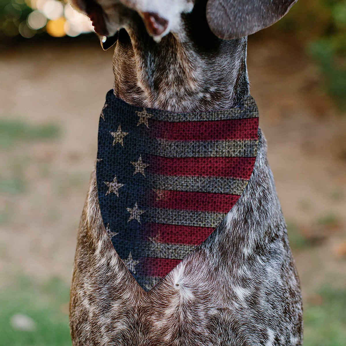 Pet Bandana - Vintage US Flag Stretch