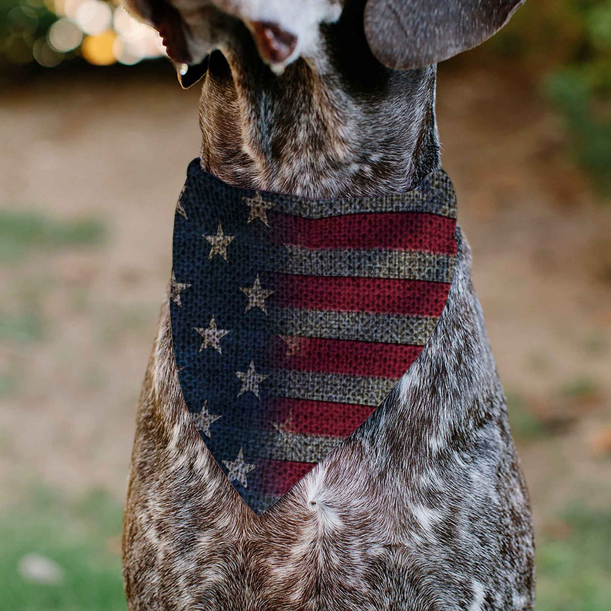 Pet Bandana - Vintage US Flag Stretch