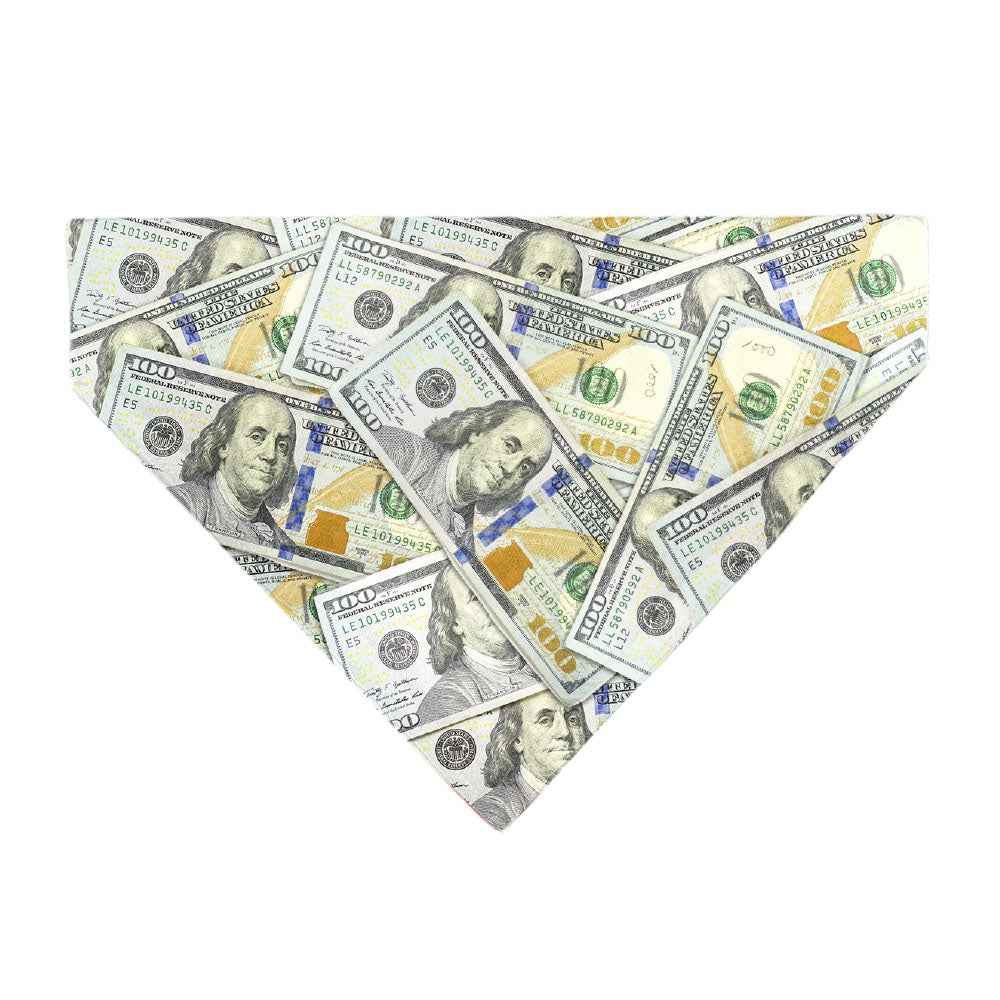 Pet Bandana - Vivid 100 Dollar Bills Stacked