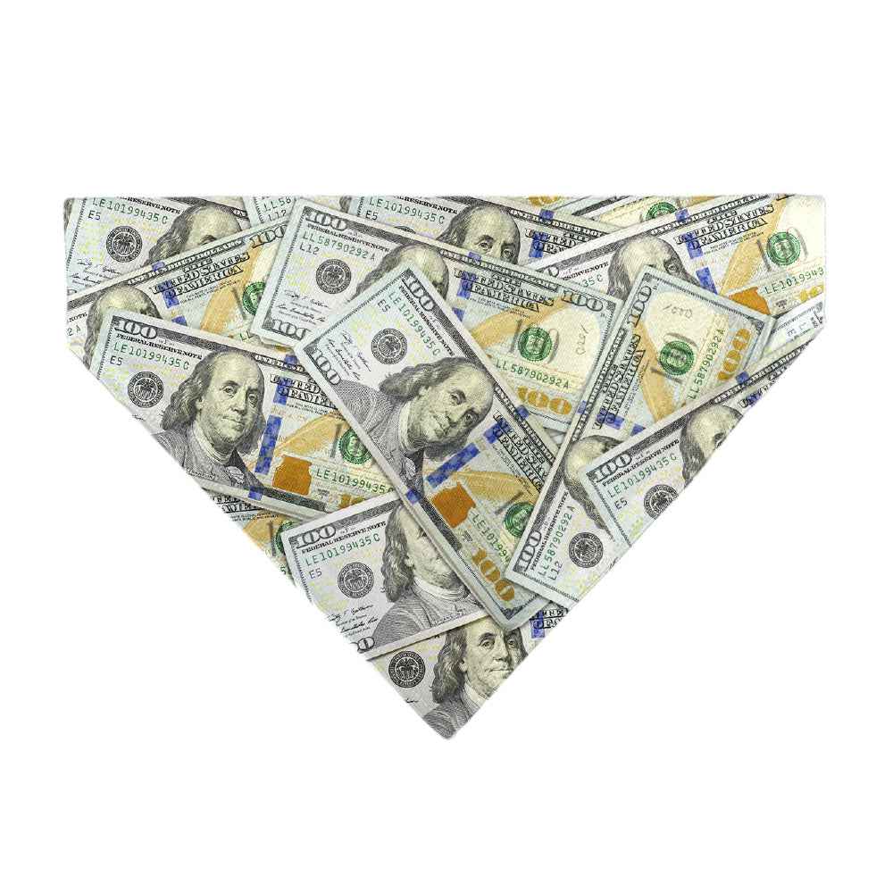 Pet Bandana - Vivid 100 Dollar Bills Stacked