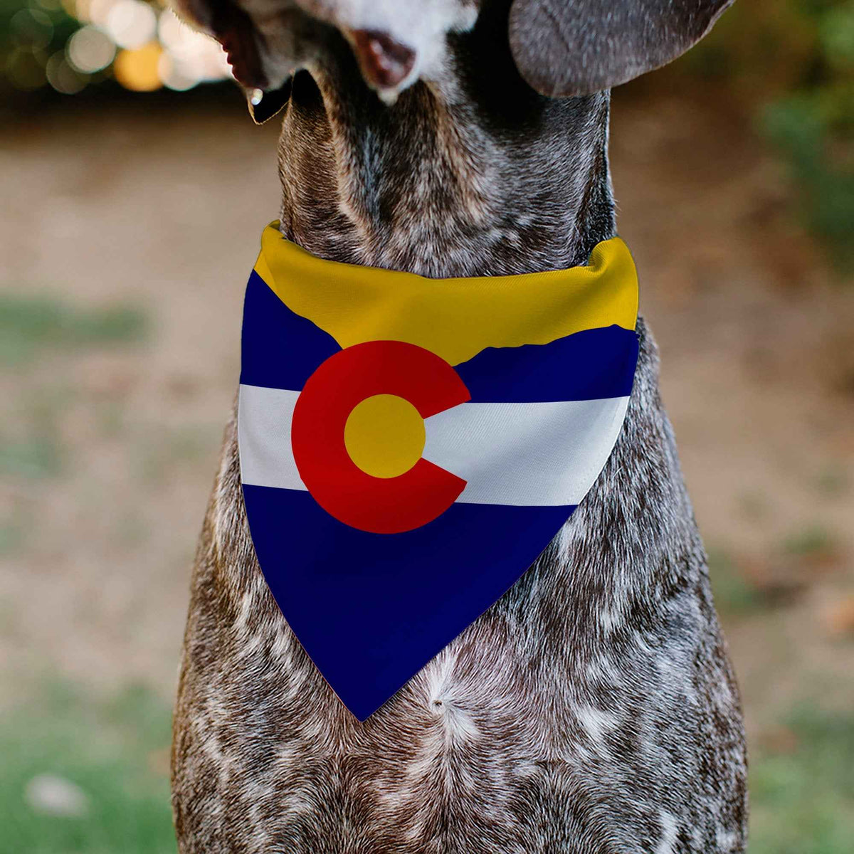 Pet Bandana - Colorado Flag/Mountain Silhouette Yellow