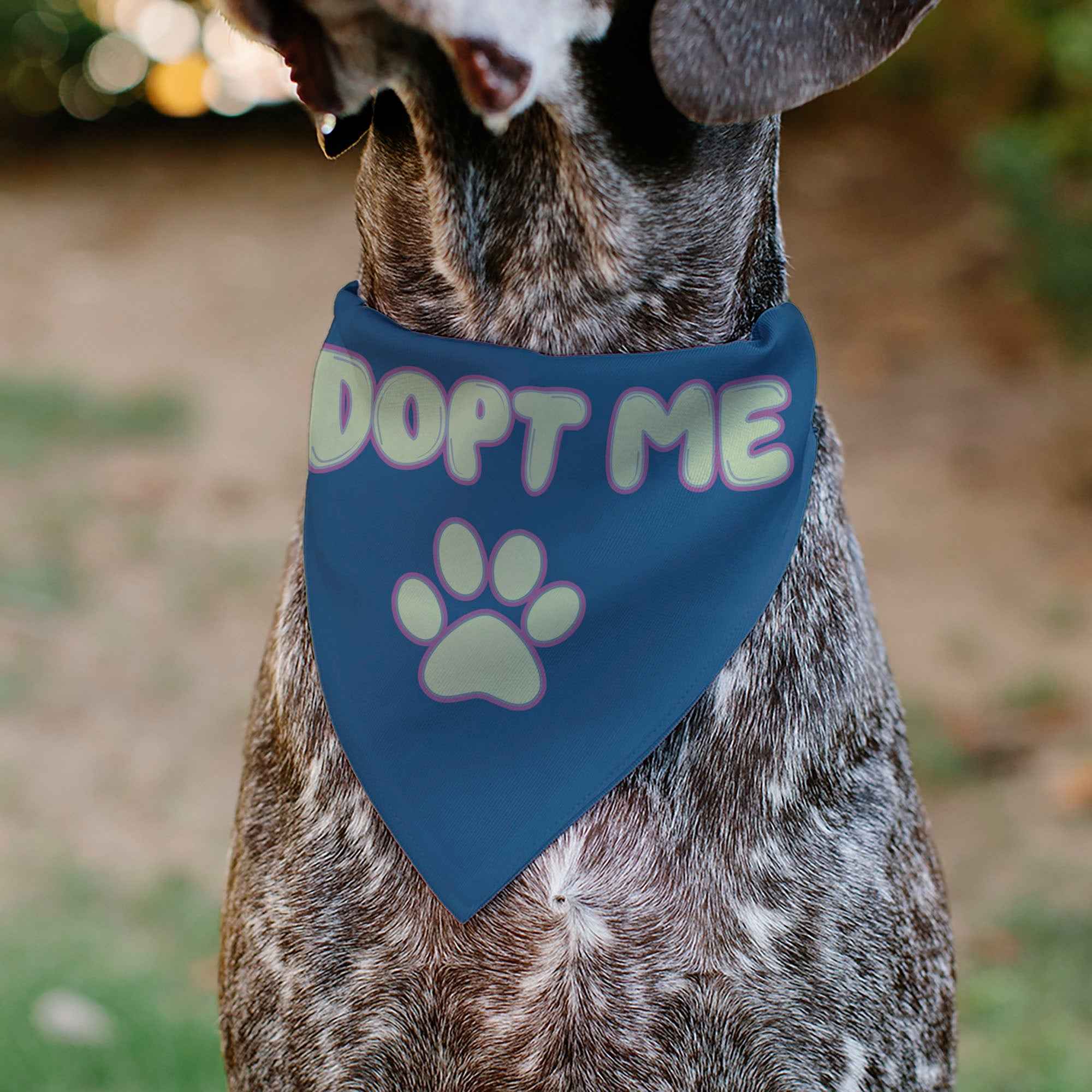 Buckle-Down Adopt Me Text and Paw Black/Lavender/Ivory Over-the-Collar Dog Bandana