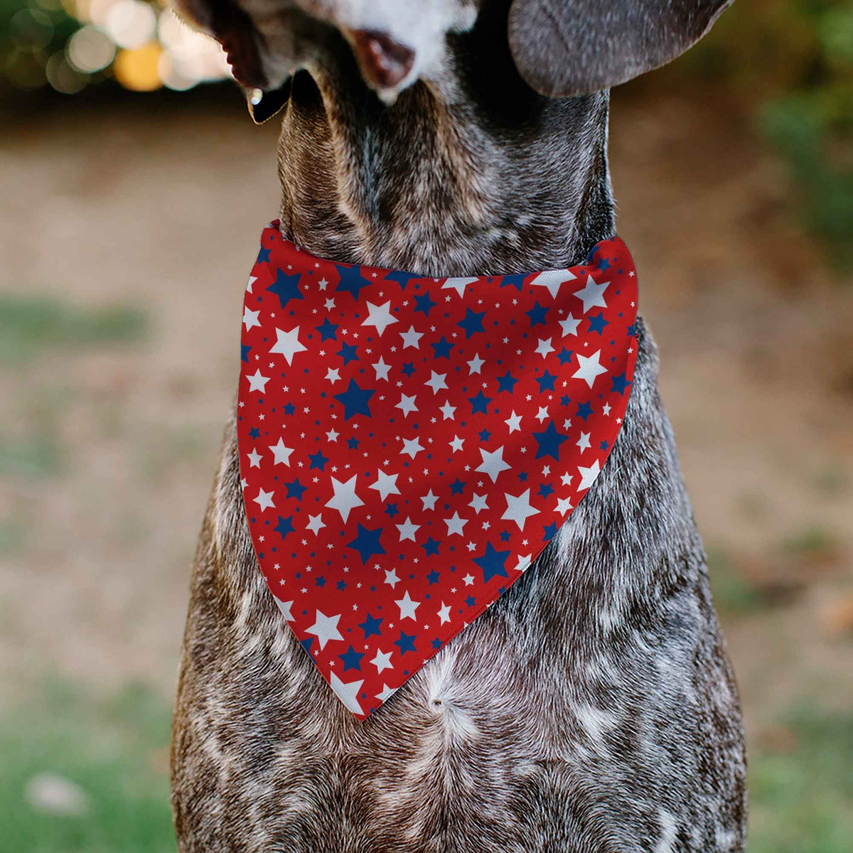 Pet Bandana - Americana Stars Scattered Red/White/Blue