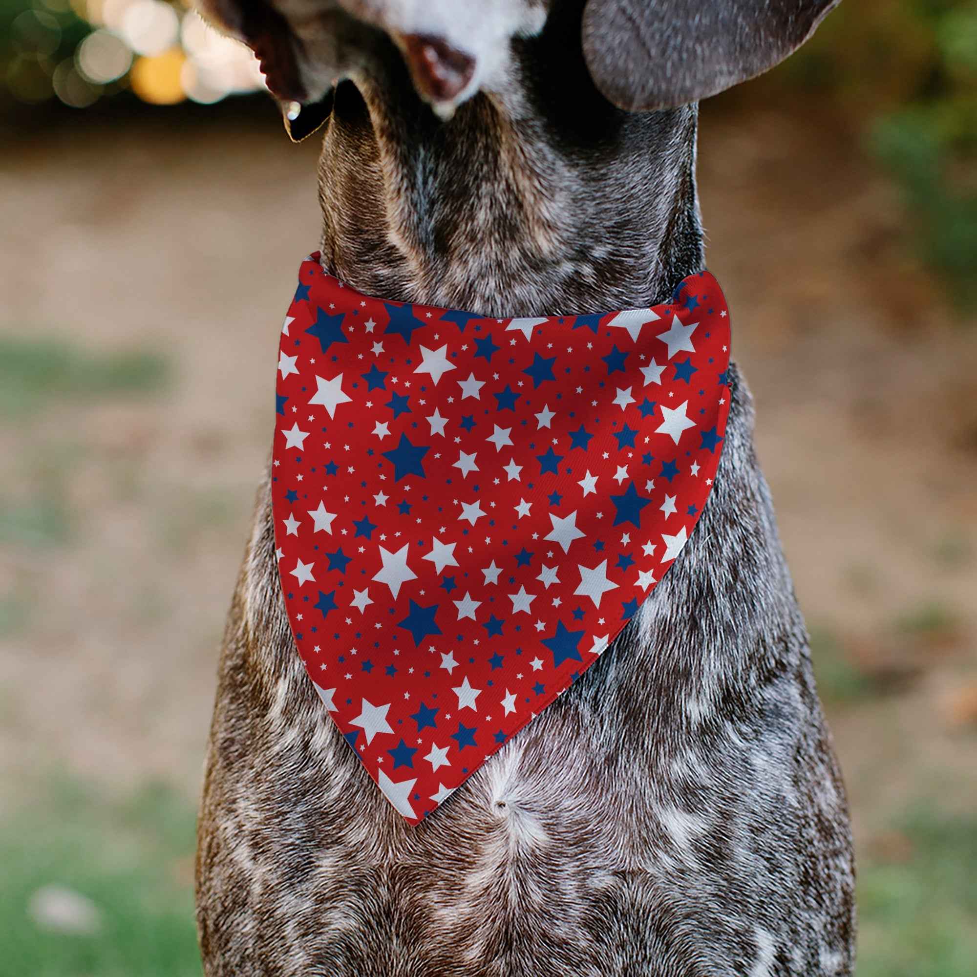 Pet Bandana - Americana Stars Scattered Red/White/Blue