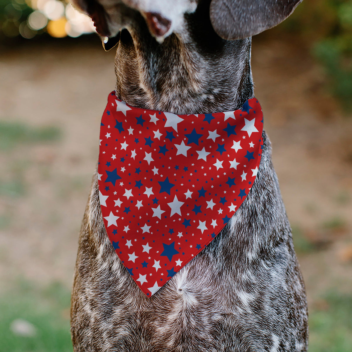 Pet Bandana - Americana Stars Scattered Red/White/Blue | HT Animal Supply