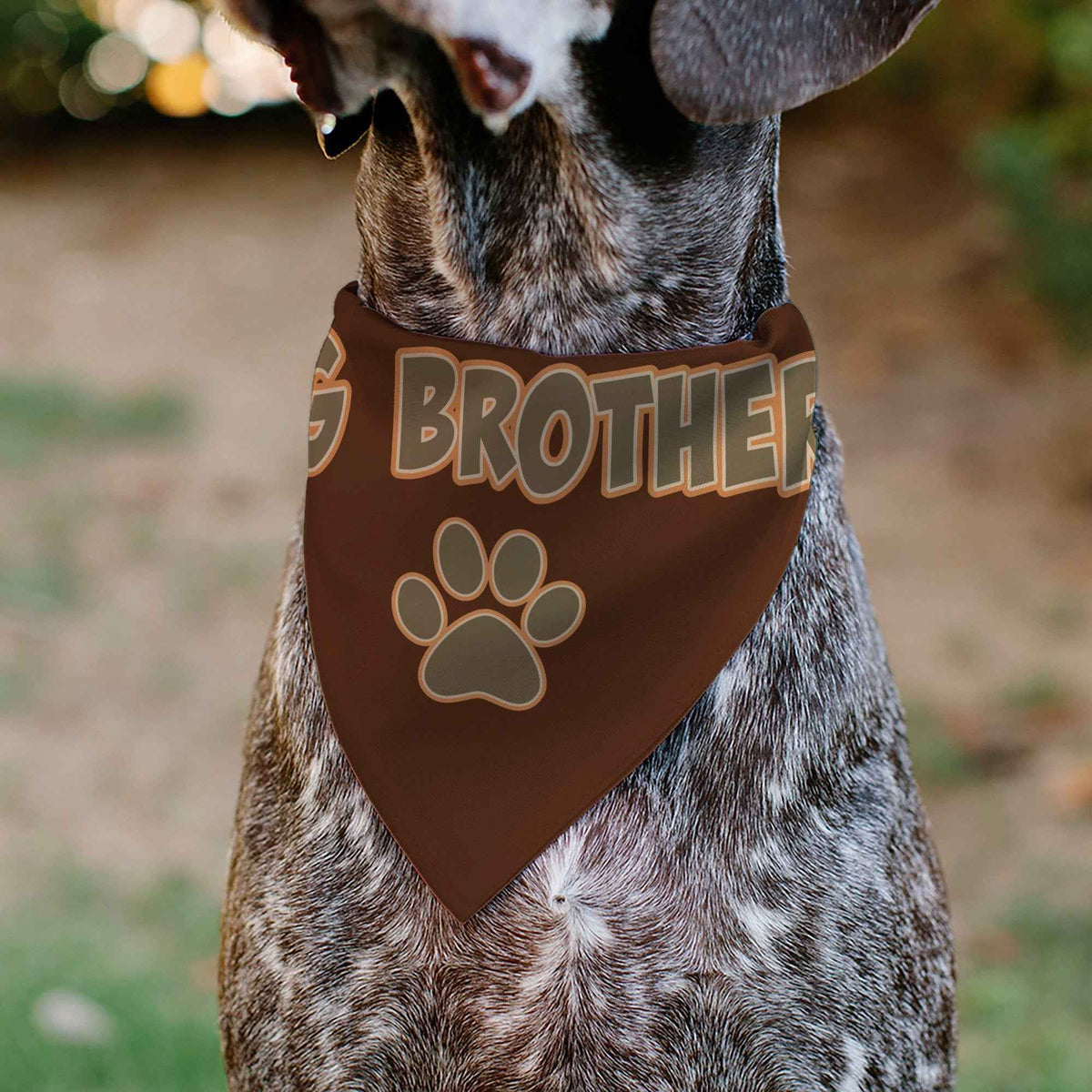 Pet Bandana - BIG BROTHER Text and Paw Browns
