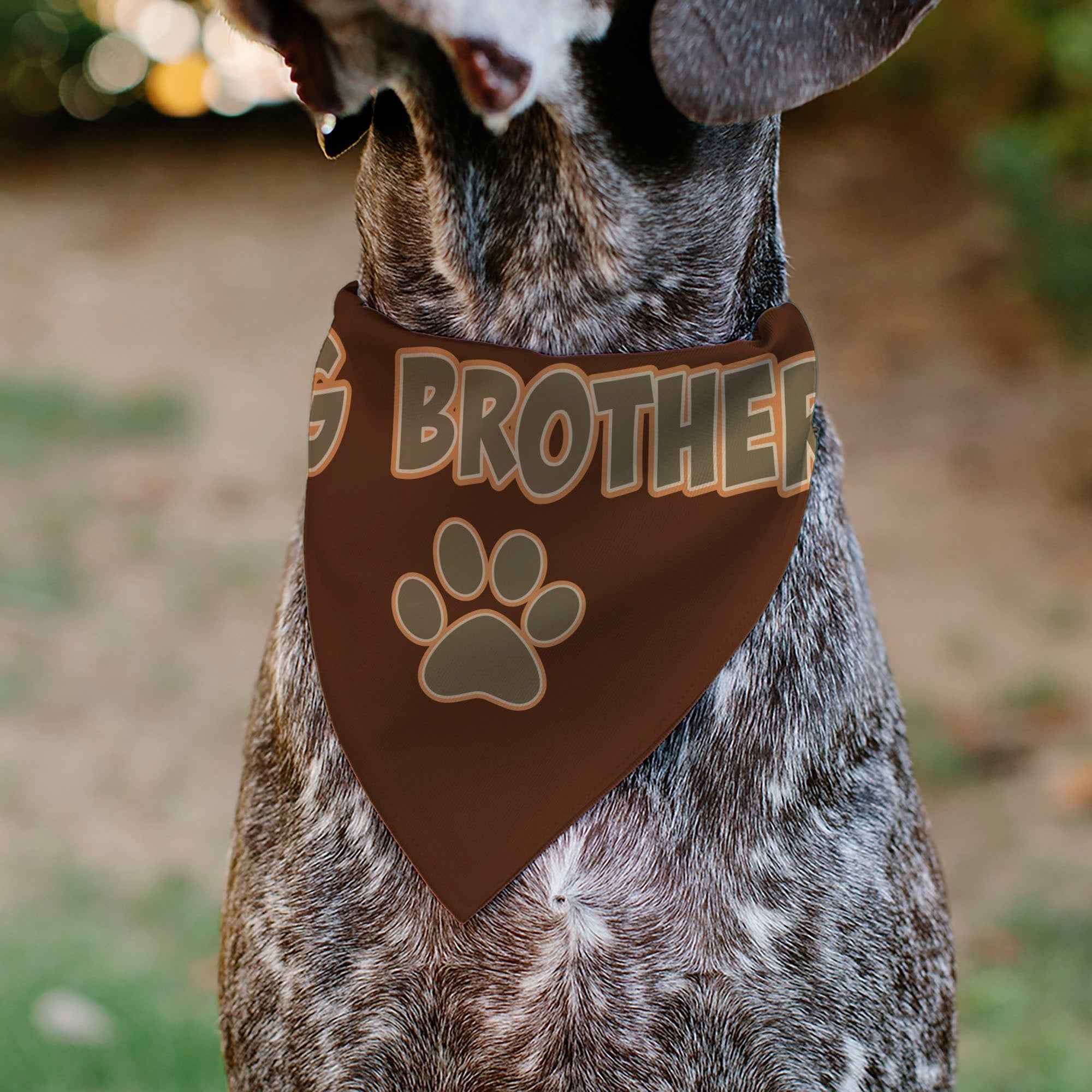 Pet Bandana - BIG BROTHER Text and Paw Browns
