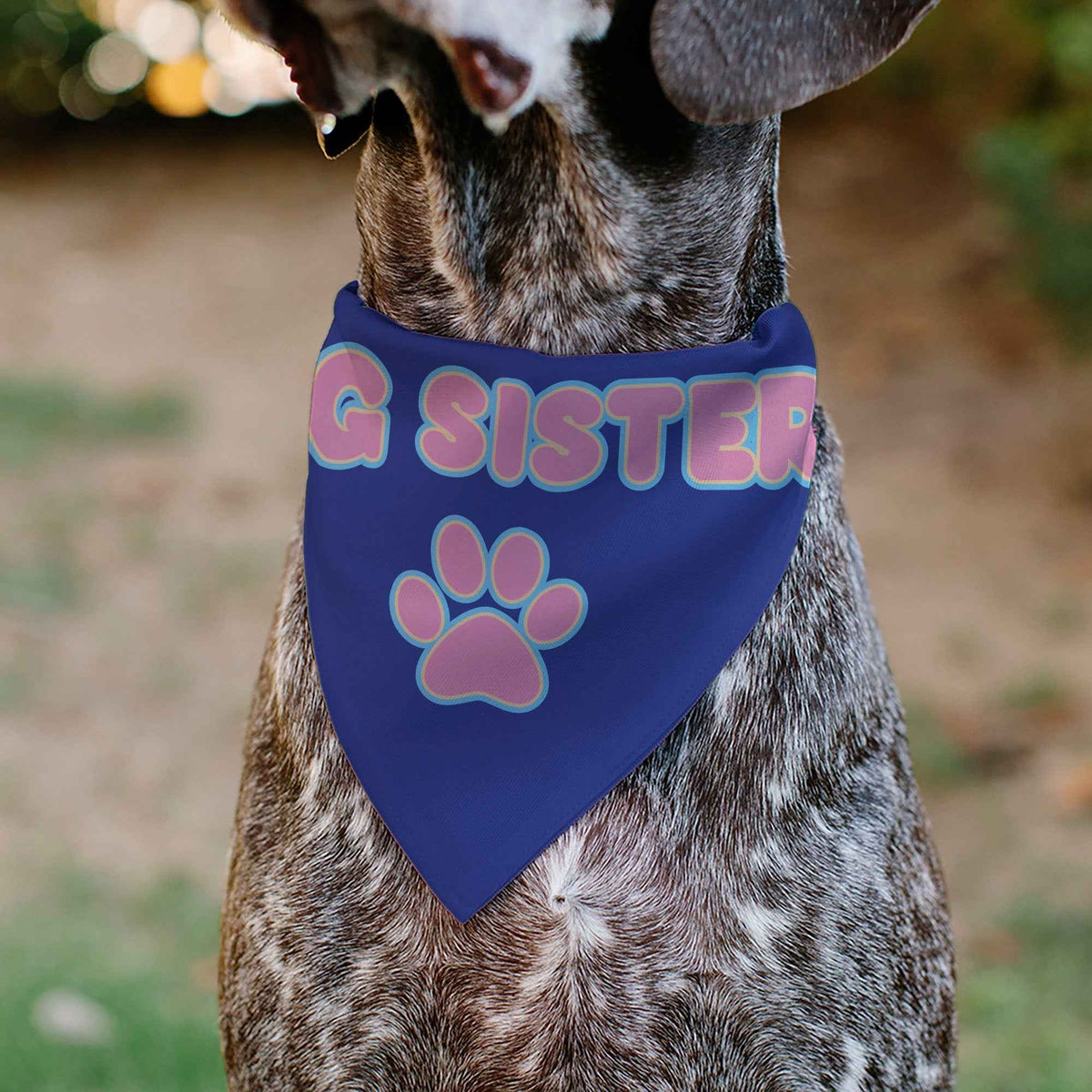 Pet Bandana - BIG SISTER Text and Paw Blues/Lavender