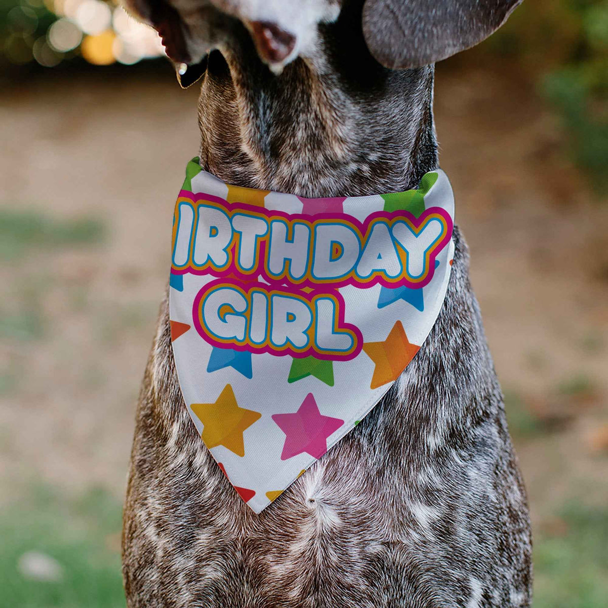 Pet Bandana - BIRTHDAY GIRL Text and Stars White/Multi Color