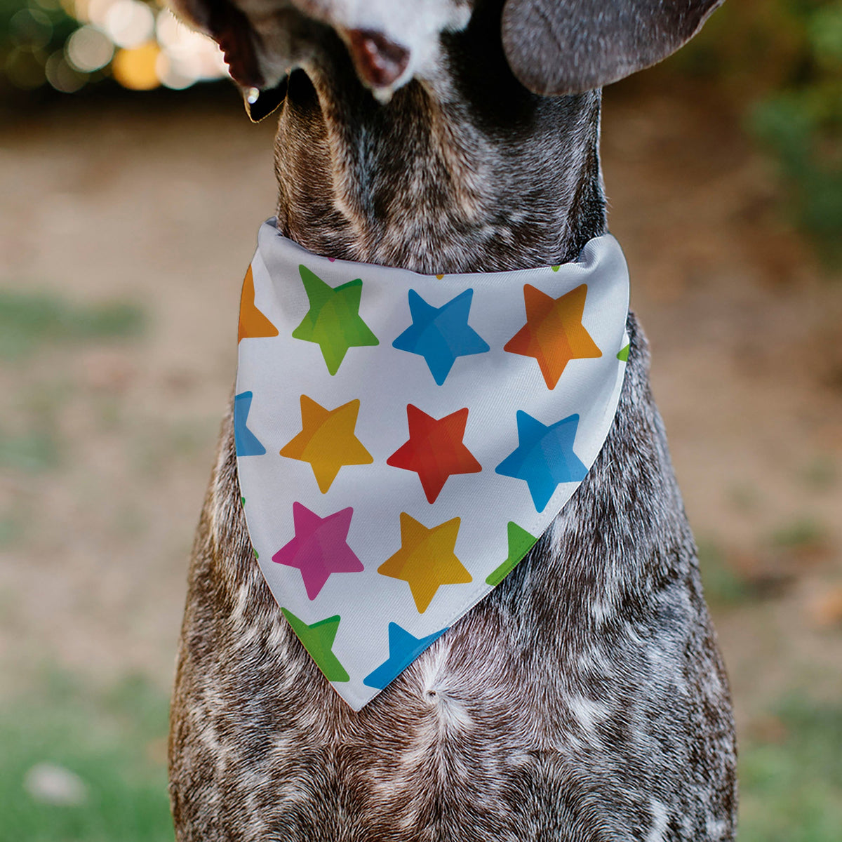Pet Bandana - BIRTHDAY GIRL Text and Stars White/Multi Color | HT Animal Supply