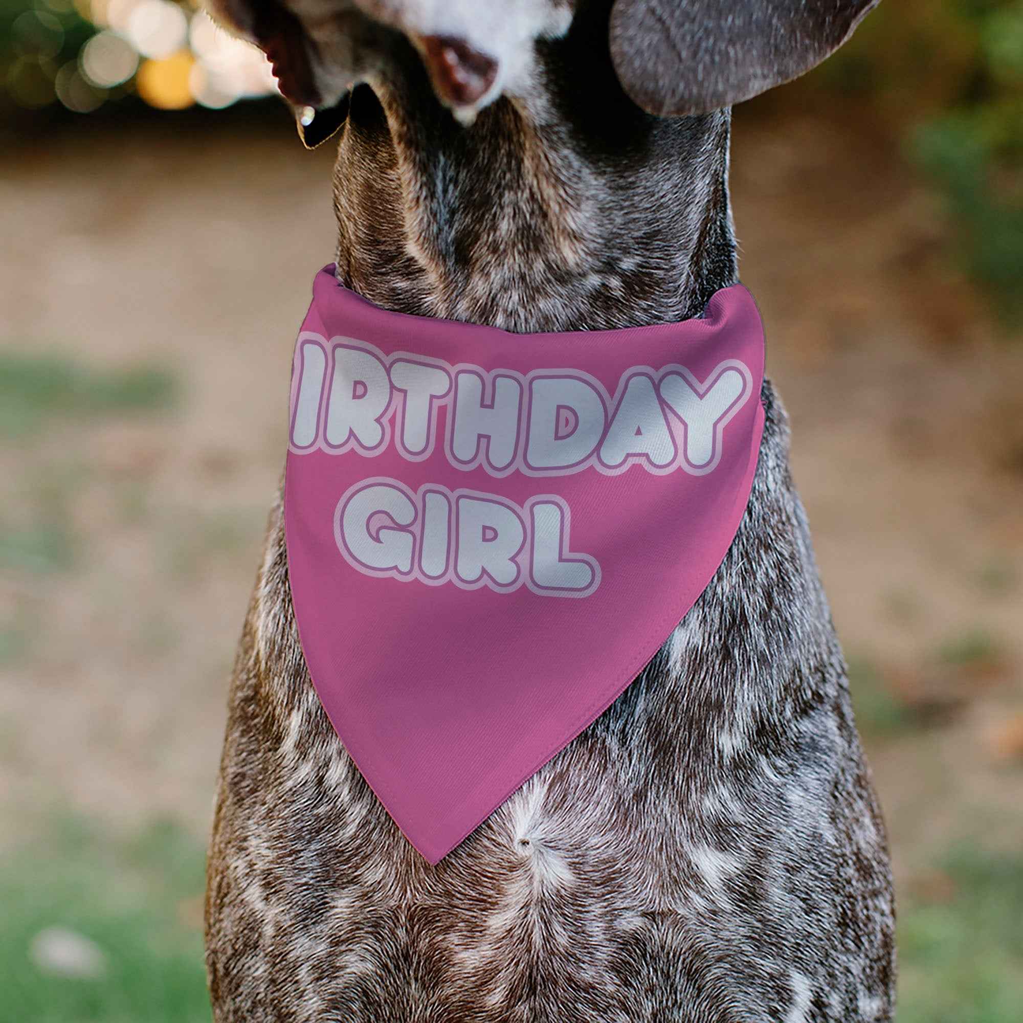 Buckle-Down Birthday Girl Text Pinks/White Over-the-Collar Dog Bandana