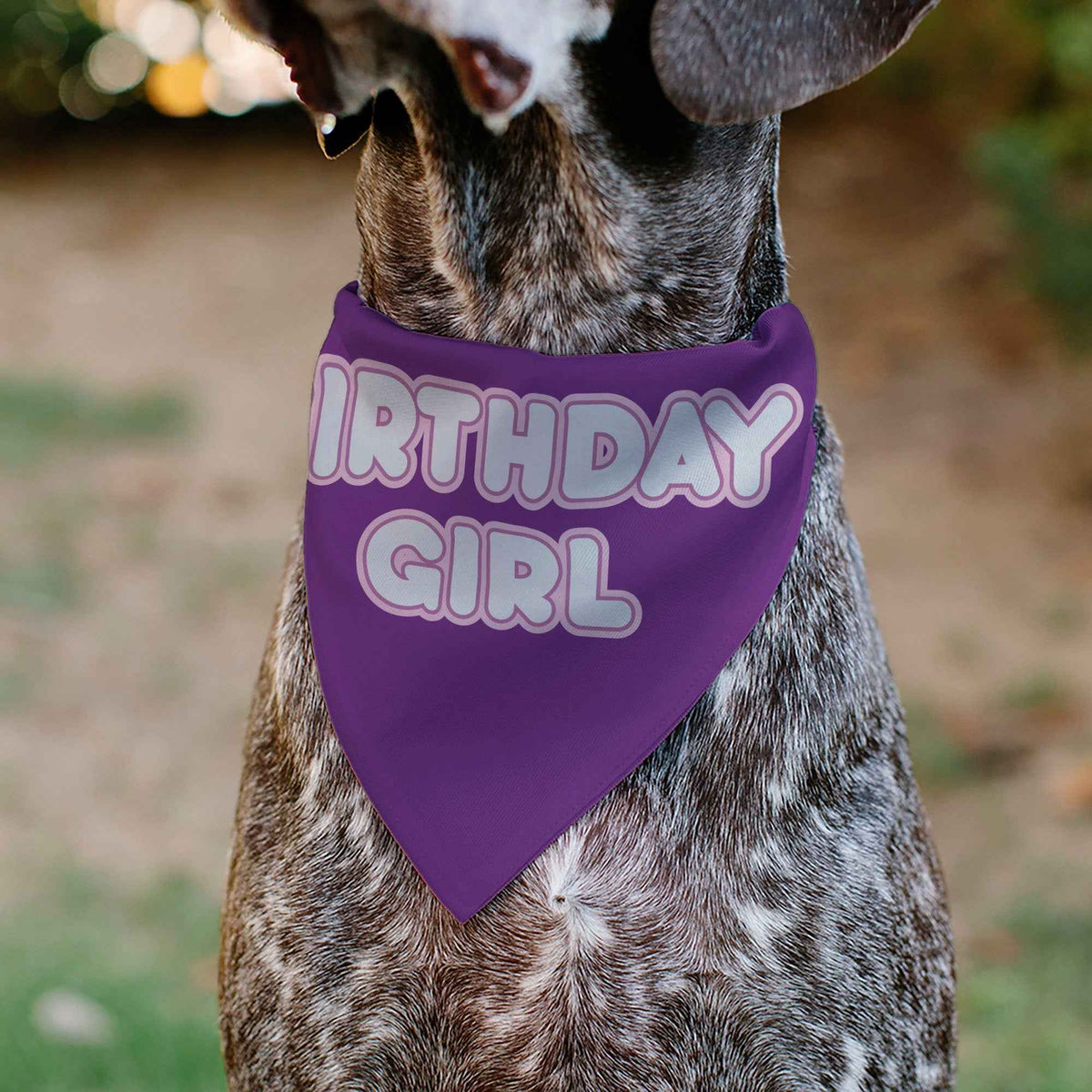Pet Bandana - BIRTHDAY GIRL Text Purples/White