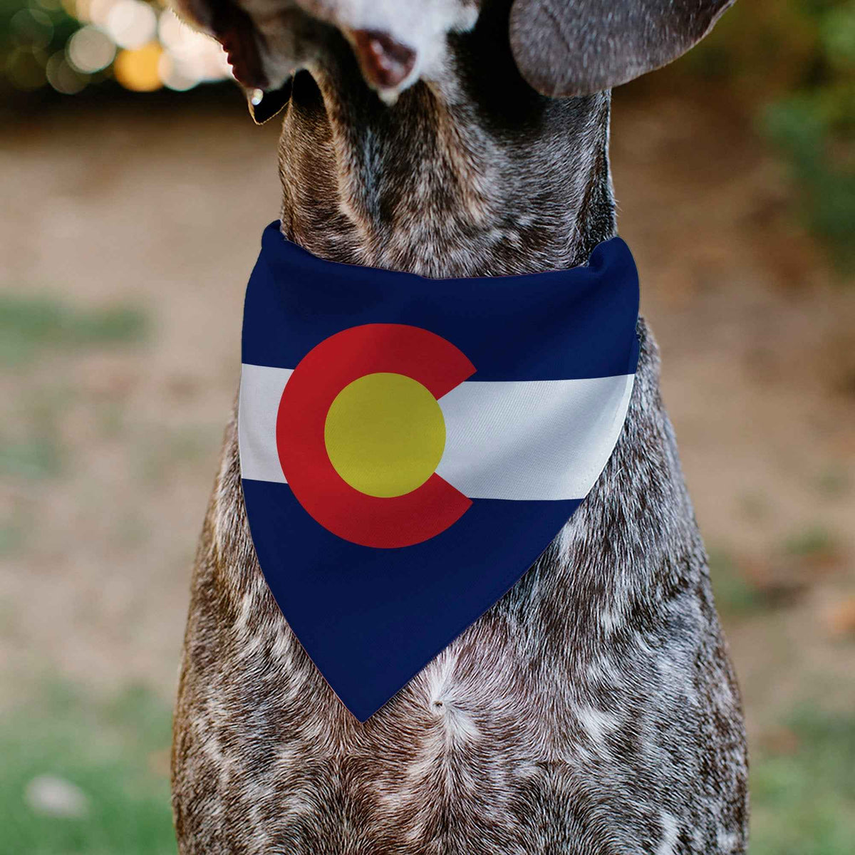 Pet Bandana - Colorado Flag Centered
