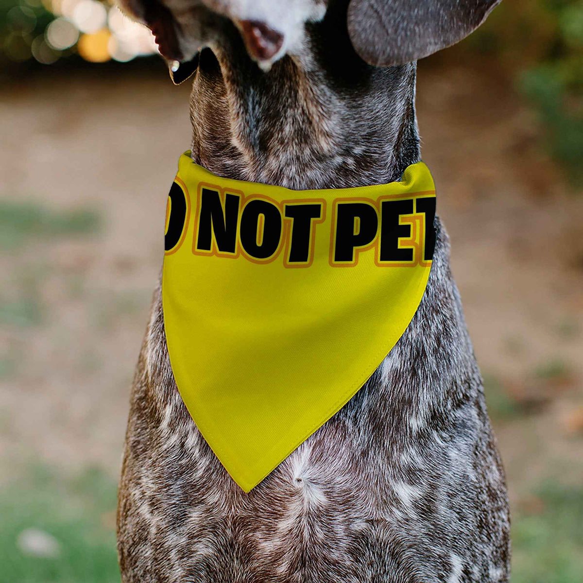 Pet Bandana - DO NOT PET Warning Yellows/Black