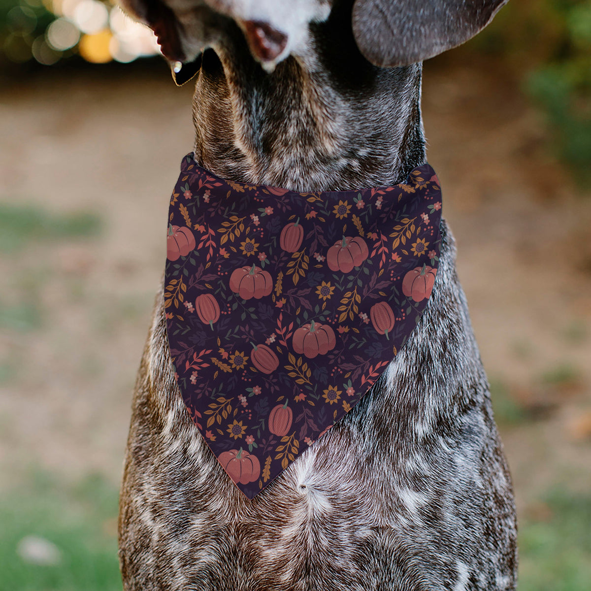 Buckle-Down Fall Harvest Pumpkins and Flowers Collage Pet Bandana