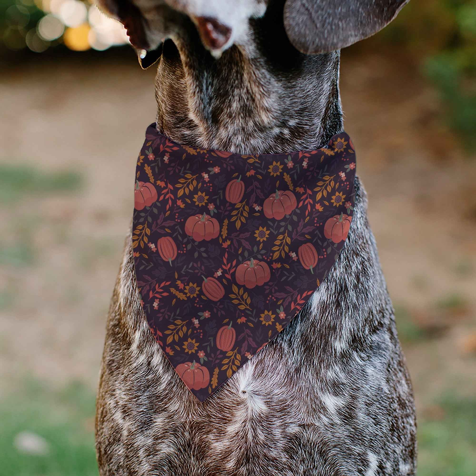 Pet Bandana - Fall Harvest Pumpkins and Flowers Collage Purples/Orange/Greens